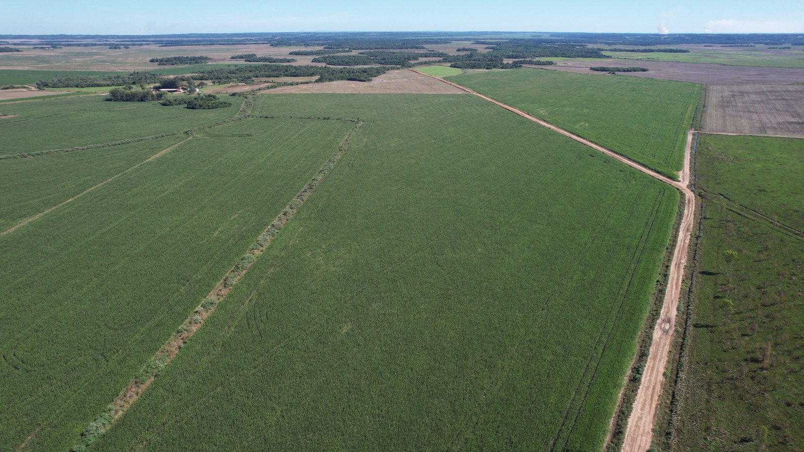 Unique Investment Opportunity In Paraguay 2508 Hectares Prime Cropping